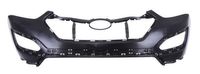Bumper 5510003182900P