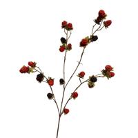 Roberts Collection Kunsttak met bramen rood/zwart 76cm