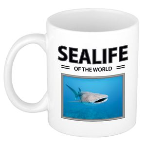Walvishaai mok met dieren foto sealife of the world