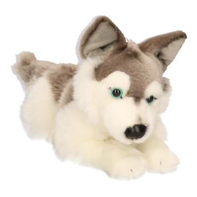 Carl Dick Pluche Husky hond - knuffeldier - huisdieren knuffel - 30 cm