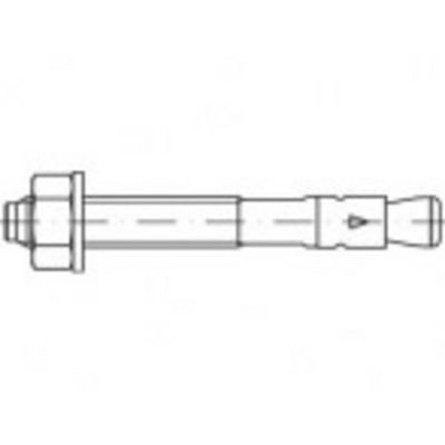 Alstertaler Schrauben & Präzisionsteile 887640100080066 Expressanker 66 mm 100 stuk(s)