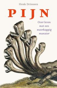 Pijn (Paperback)