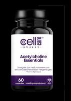 Acetylcholine essentials 60 Capsules