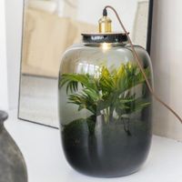 Terrarium Sistelo