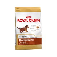 Royal Canin Dachshund Puppy 1.5kg 1,5 kg Rijst, Groente - thumbnail