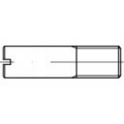 TOOLCRAFT TO-5363298 Tapeind M10 RVS A1 100 stuk(s)