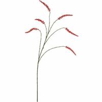 Daan Kromhout Kunsttak bessen rood 115 cm | 12 stuks