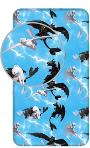 Hoe tem je een Draak Hoeslaken Flying Dragons - Eenpersoons - 90 x 200 cm - Blauw