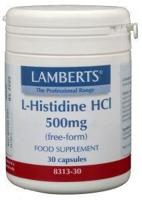 L-Histidine 500 mg - thumbnail
