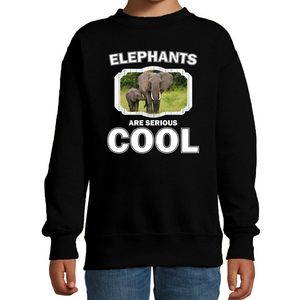 Sweater elephants are serious cool zwart kinderen - olifanten/ olifant met kalf trui