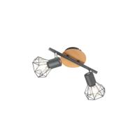 Fischer & Honsel 2-lichts plafondlampRan zwart - 21385