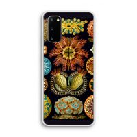 Haeckel Ascidiae: Samsung Galaxy S20 Transparant Hoesje