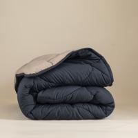 Dekbed Lazy & Dekbedovertrek in 1 Double Face Antraciet / Taupe - Easy - zonder overtrek - 240x200 cm (Lits-Jumeaux) - Sleeptime - 300 gram per m²