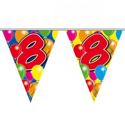 Gekleurde vlaggenlijn 8 jaar 10 meter