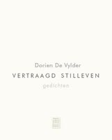 Vertraagd stilleven - Dorien De Vylder - ebook