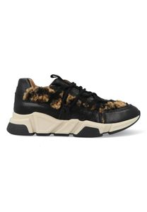 DWRS Los Angeles B9101-116-6626 Beige / Grijs  maat