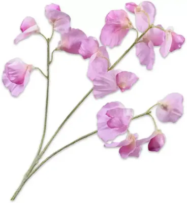 Silk-ka kunsttak lathyrus 66cm lavendel