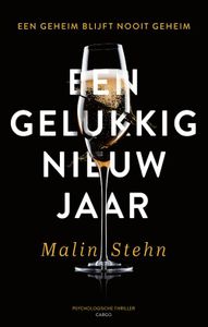 Een gelukkig nieuwjaar - Malin Stehn - ebook