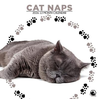 Cat Naps Kalendar 2026