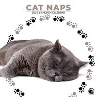 Cat Naps Kalendar 2026