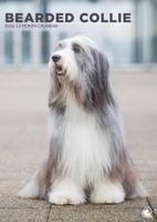 Bearded Collie A3 Kalender 2026 Bearded Collie A3 Kalender 2026
