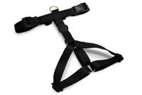 MORSO HONDENTUIG H-TUIG GERECYCLED GOLD CAVIAR GOUD