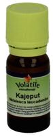 Volatile Kajeput (Kajeput Melaleuca Leucadendra) 5ml - thumbnail