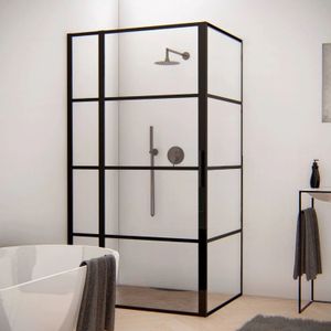 BWS Douchecabine Frame 110x140 cm 8 mm NANO Glas Mat Zwart Raster