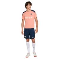 Nike Chelsea Strike Trainingsset 2024-2025 Lichtroze Donkerblauw Goud