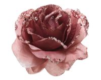 Roos pes clip d14h8,5 cm v.roze - Decoris