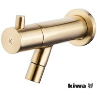 Wiesbaden Amador Fonteinkraan - Toiletkraan - Koudwaterkraan - Muurbevestiging - Kiwa - 1/2 - Geborsteld Messing