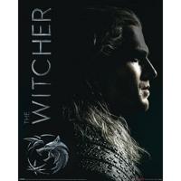 Poster The Witcher Shadows Embrace 40x50cm - thumbnail