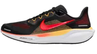 Nike Pegasus 41 Hardloopschoen Heren