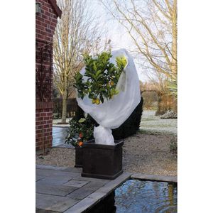Winterafdekvlies 1 x 10 meter 30 g/m² wit
