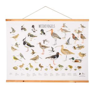 Weidevogels poster Elwin van der Kolk