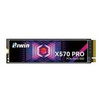 Hard Drive Biwin X570 Pro 2 TB SSD