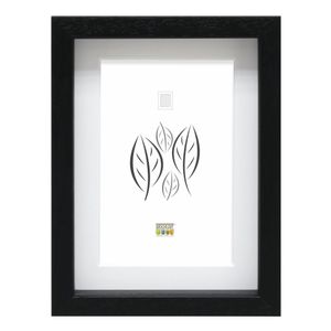 Deknudt Zwarte houten kader om objecten in te lijsten 18x24 S223K2