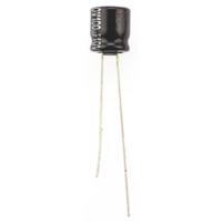 Panasonic Elektrolytische condensator Radiaal bedraad 2.5 mm 100 µF 10 V 20 % (Ø) 6.3 mm 1 stuk(s)