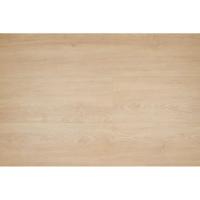Therdex - Basic Planken 2050 (Plak PVC)