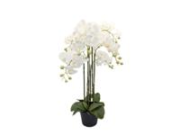 Orchidee kunstplant 6-tak 88 cm, wit - Buitengewoon de boet