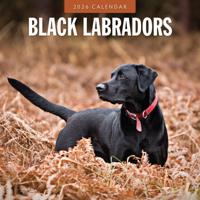 Labrador Retriever Zwart Kalender 2026
