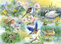 Feathered Friends Puzzel 250 Stukjes XL