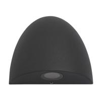 Searchlight Ronde downligterSentinel - 61131BK