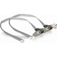 DeLOCK Slot bracket 2 x COM port (2 mm pitch) seriële kabel Zilver COM x2 DB9 x2 - thumbnail