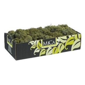 Hobby natuurlijk mos donkergroen 500 gram