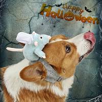 Honden Katten Halloween outfits Hondenkostuum 子鼠 leuke Style Ridderstijl Zacht Halloween Carnaval Feest Hond puppy kleding outfits Lightinthebox - thumbnail