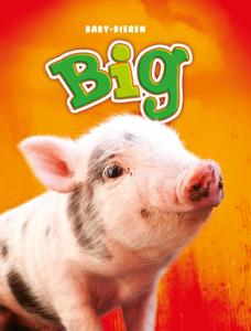 Big (Hardback)