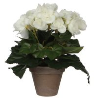 Witte Begonia kunstplant 25 cm in grijze pot - thumbnail