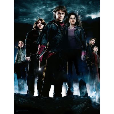 Harry Potter: The Goblet of Fire - Group 30 x 40 cm Glass Poster Poster