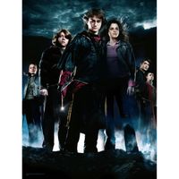 Harry Potter: The Goblet of Fire - Group 30 x 40 cm Glass Poster Poster